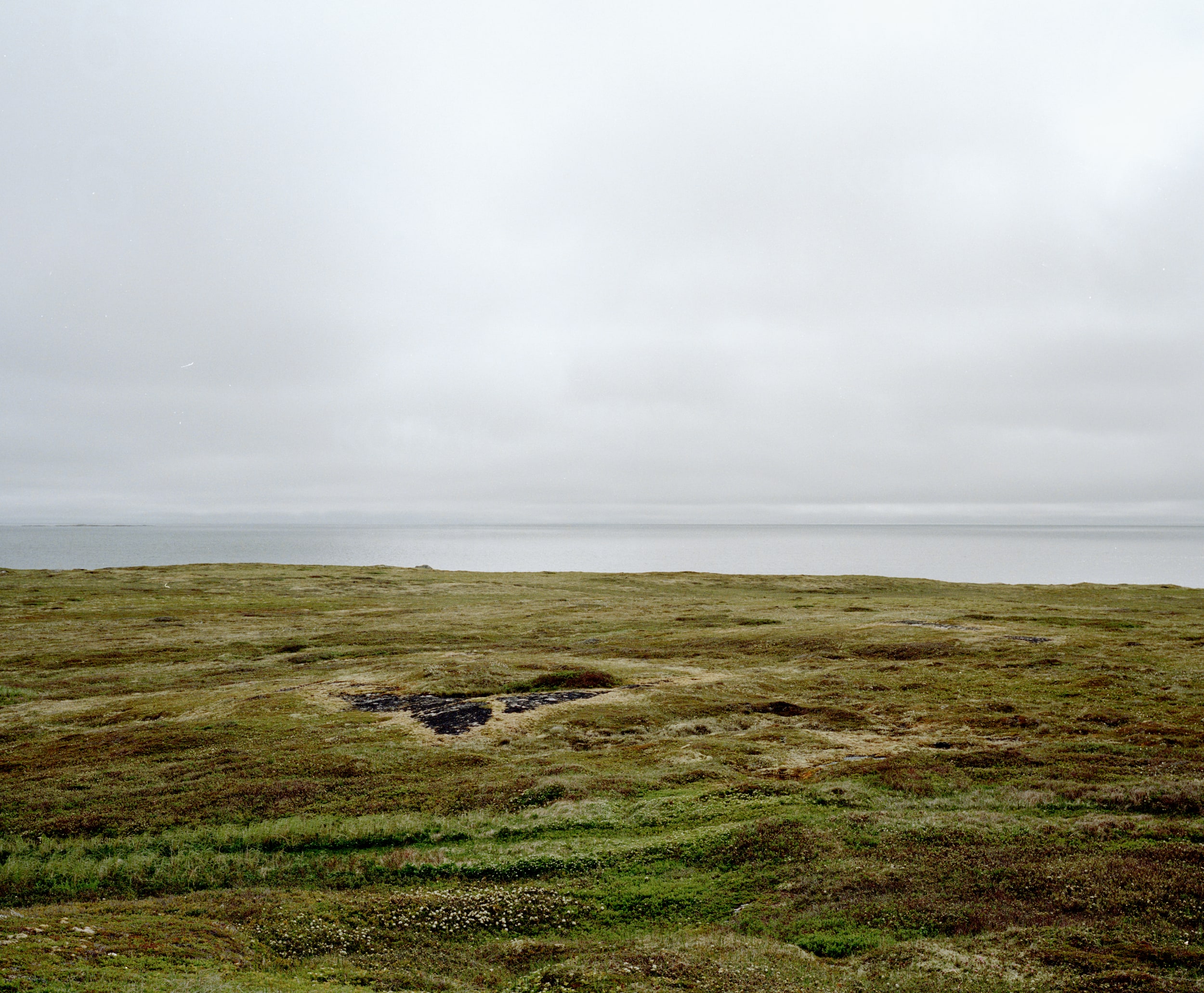 Pinchard's Island, image 15 of 21