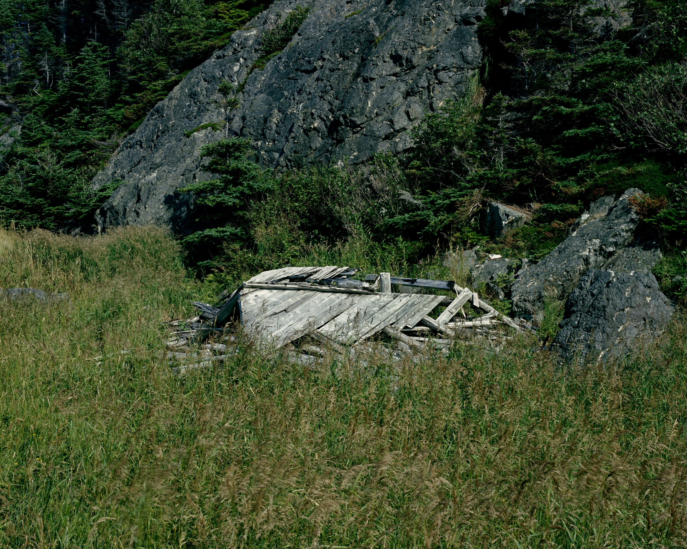 Resettlement, image 6 of 16