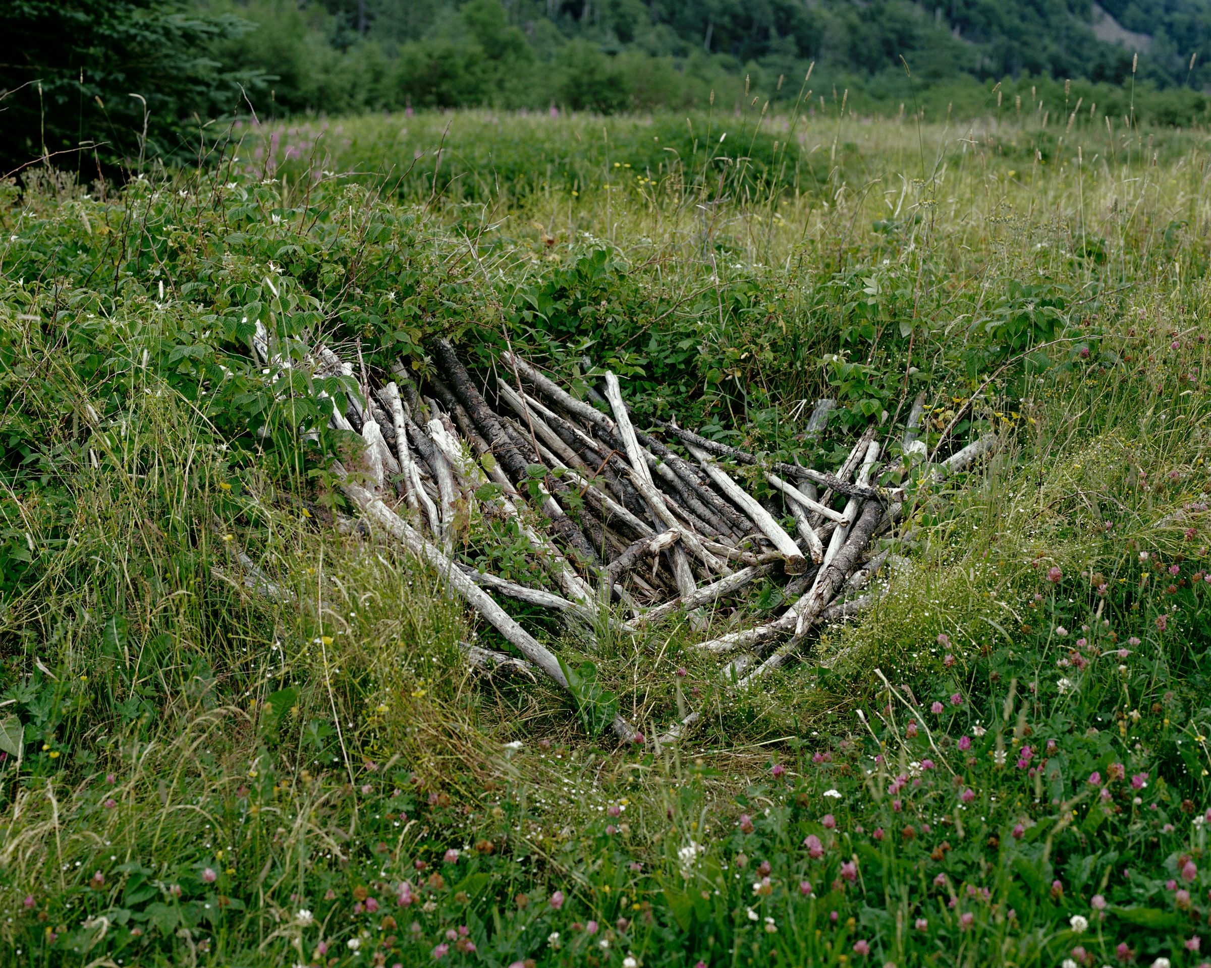 Resettlement, image 12 of 16
