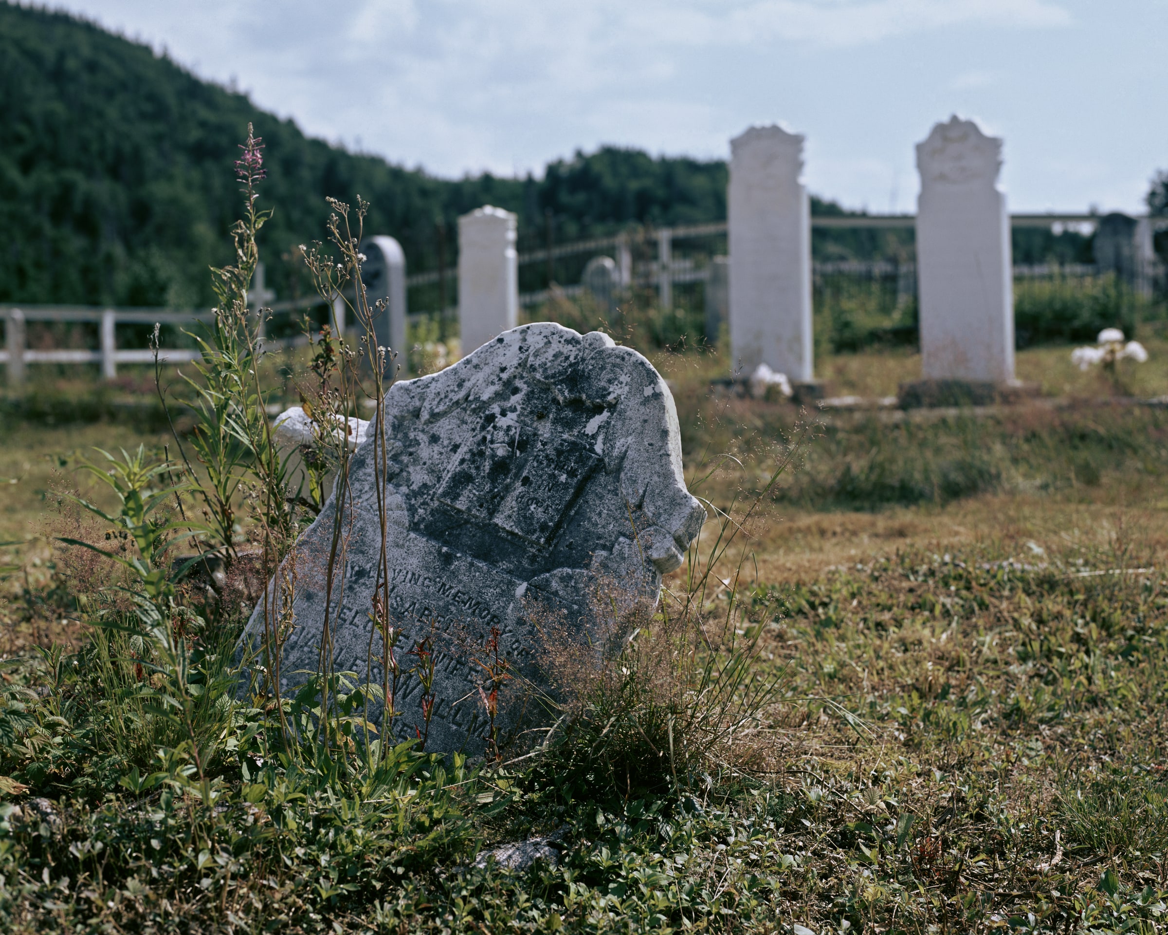Resettlement, image 14 of 16