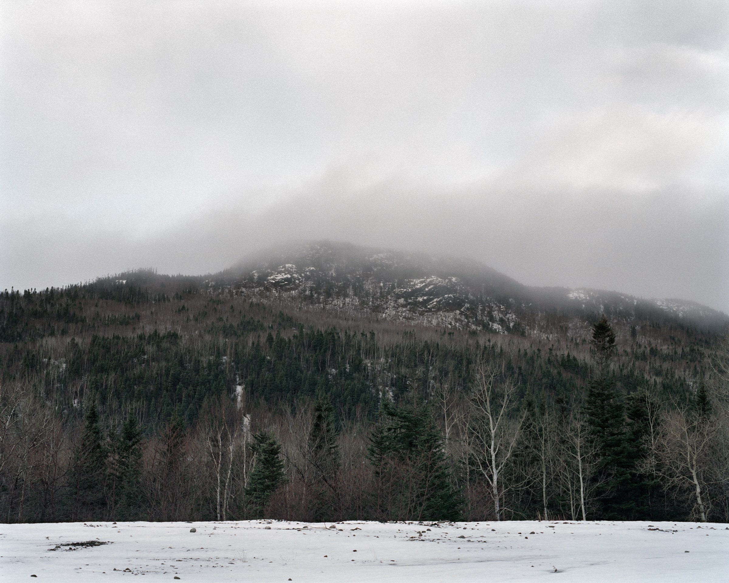 Barrens, image 1 of 14
