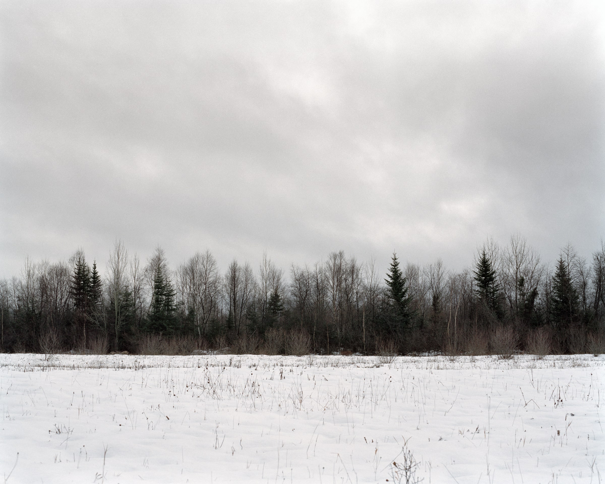 Barrens, image 2 of 14