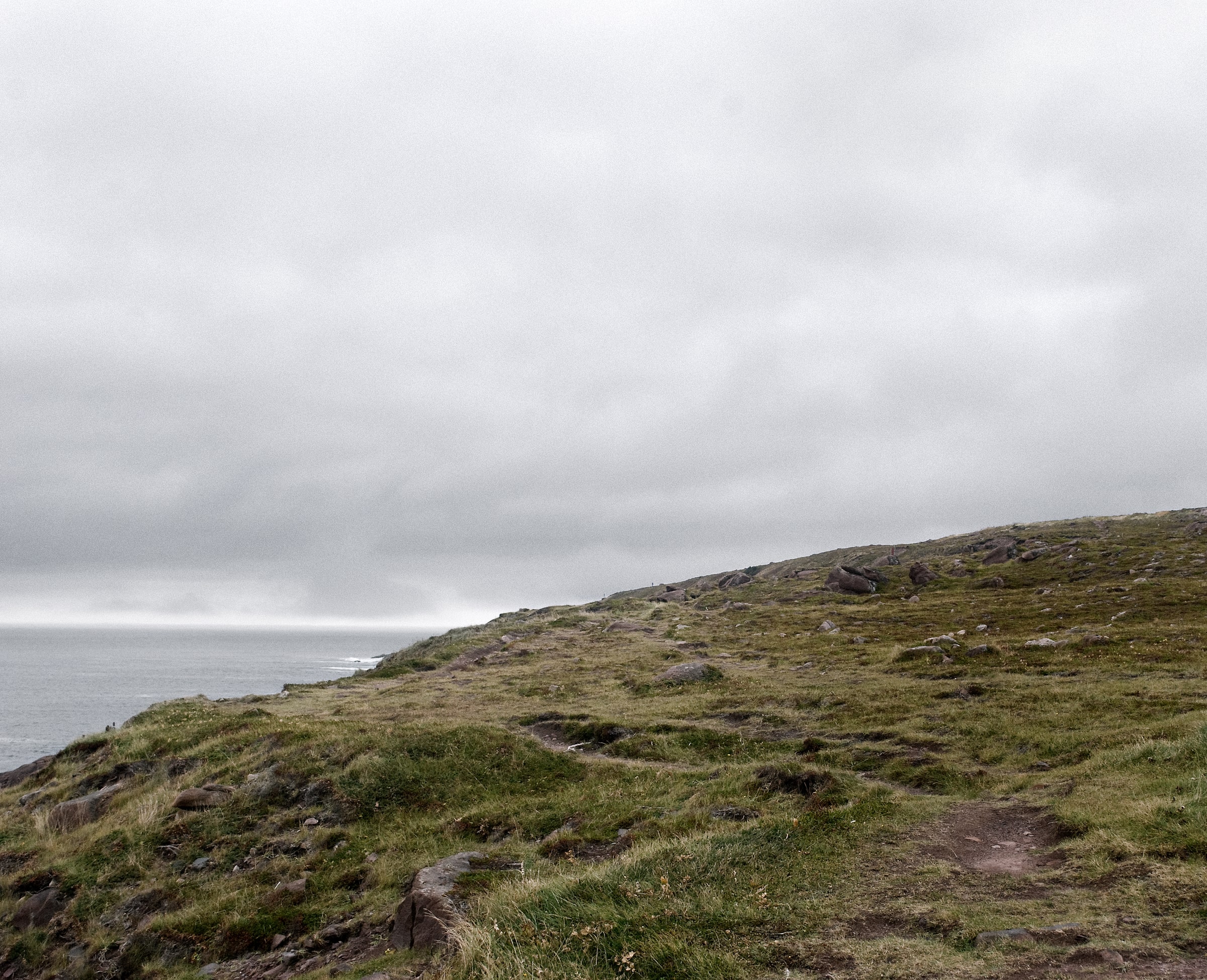 Barrens, image 6 of 14