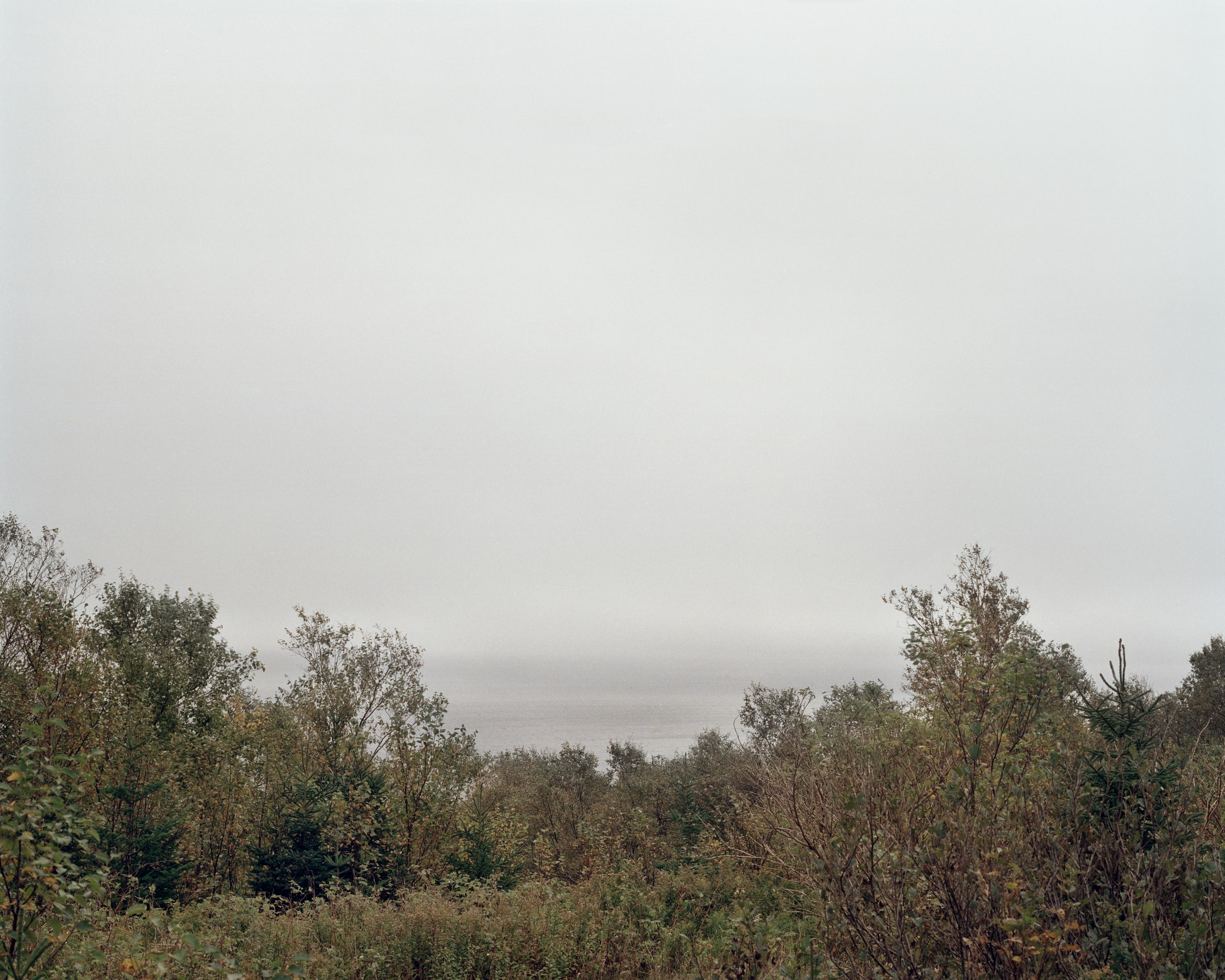 Barrens, image 7 of 14