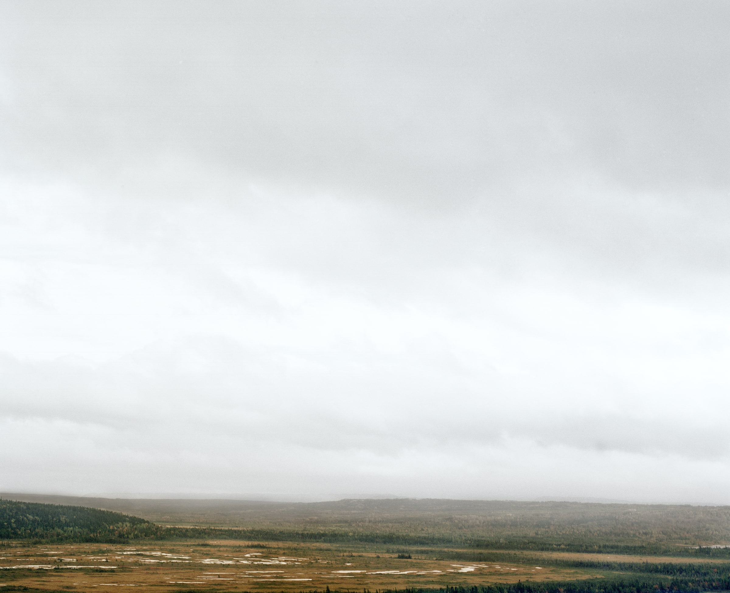 Barrens, image 8 of 14