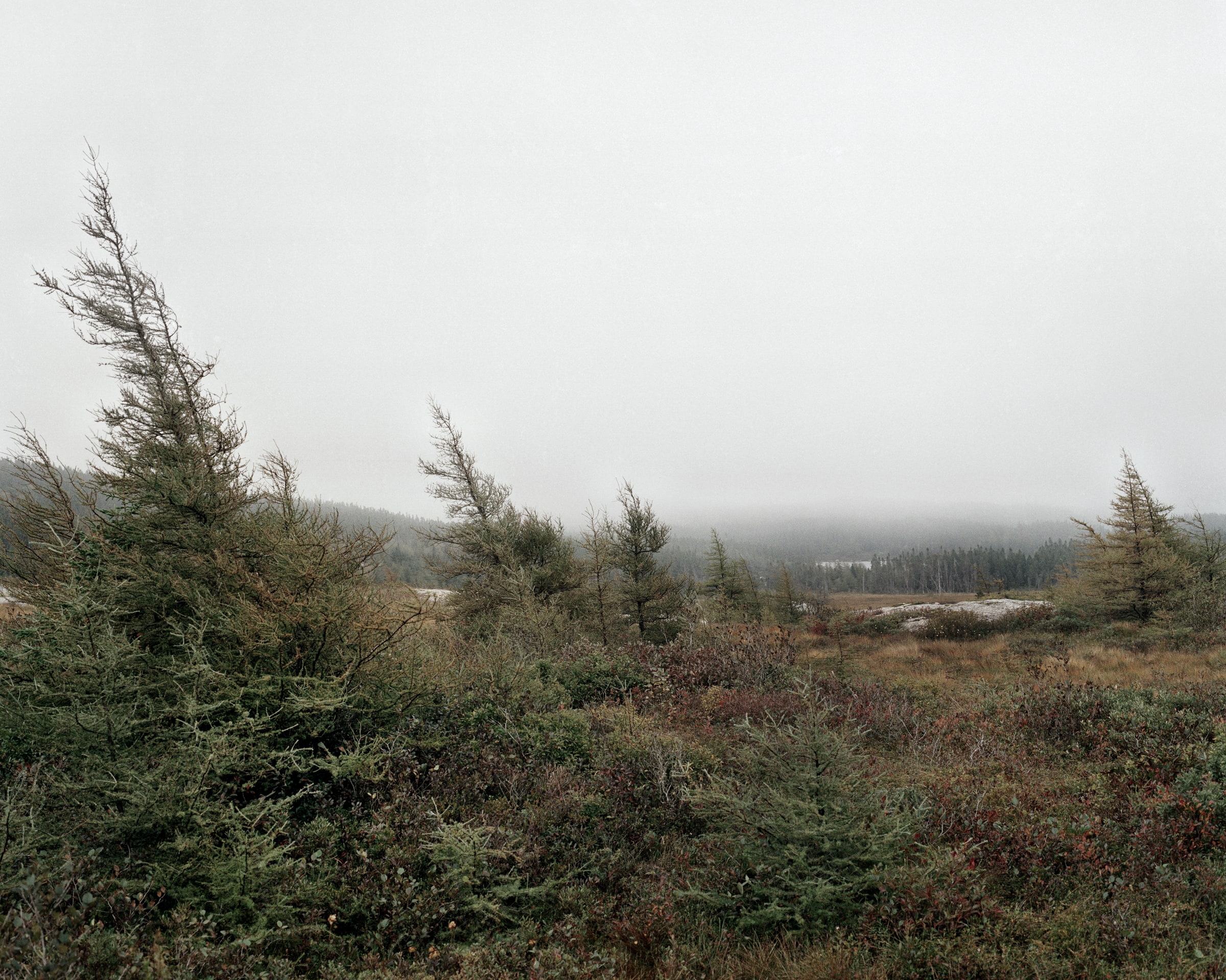 Barrens, image 9 of 14