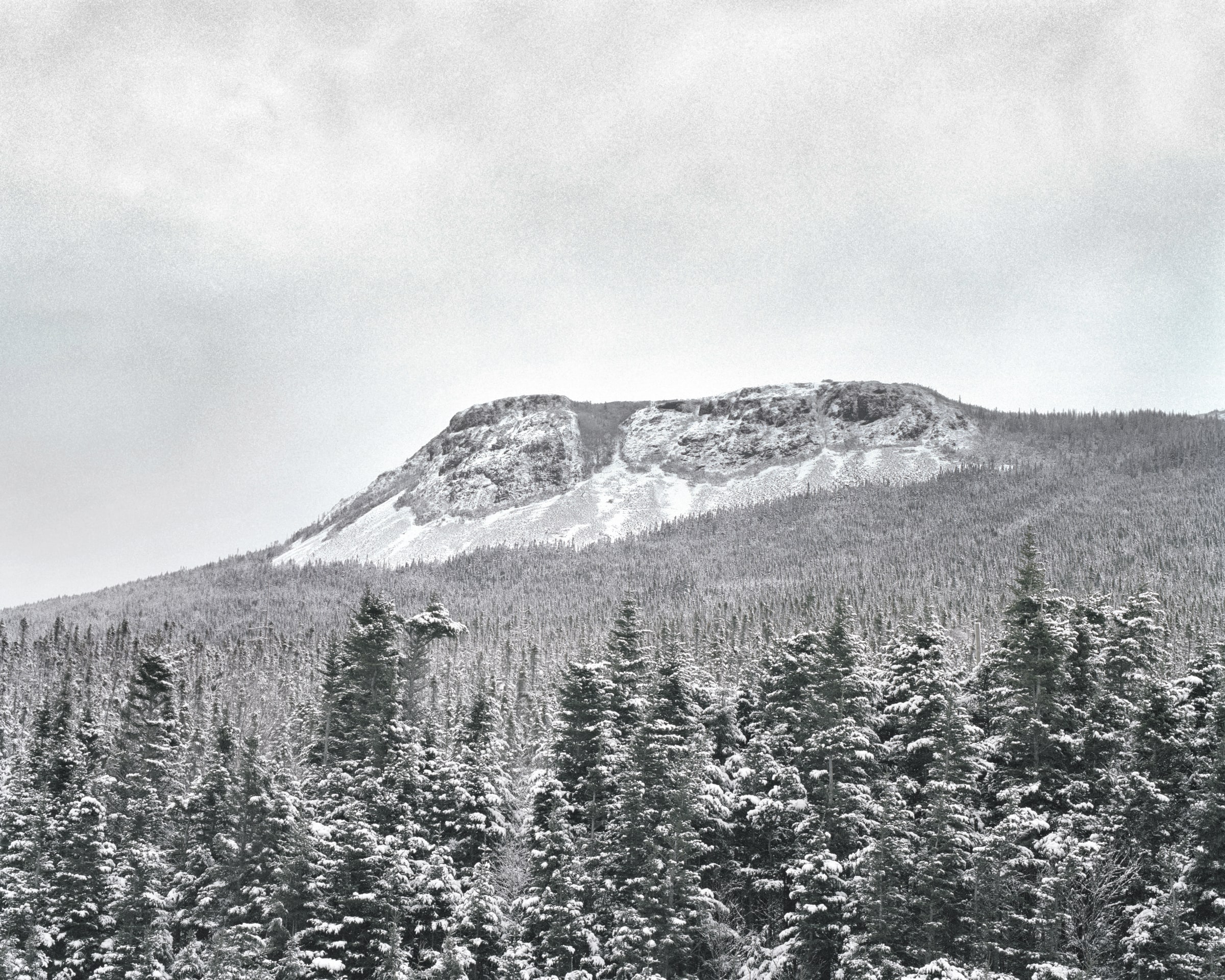 Barrens, image 11 of 14