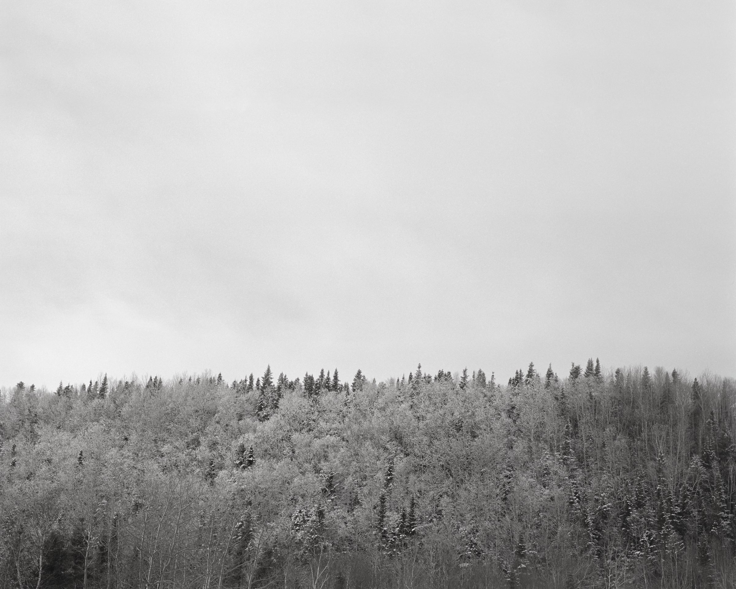 Barrens, image 12 of 14
