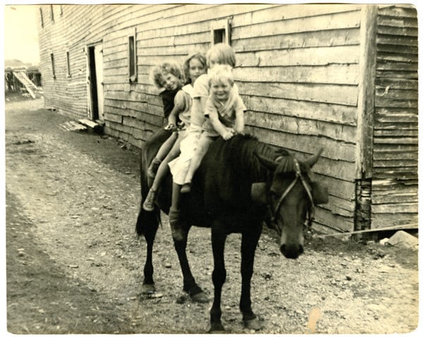 Fig. 17. Brooks, Betty Watt. “The Brooks Children with Friends on Horse Next to Morry’s Stage.” The Rooms Archive, VA 6–26, Newfoundland Tourist Development …