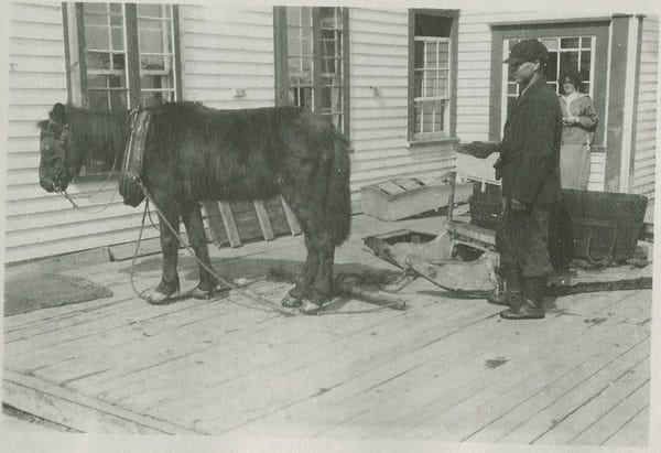 Fig. 19. Hayden, Edwin Parker. “Pony and Sledge Outside the Orphanage.” The Rooms Archive, VA 116–42.5, International Grenfell Association Photograph Collect…
