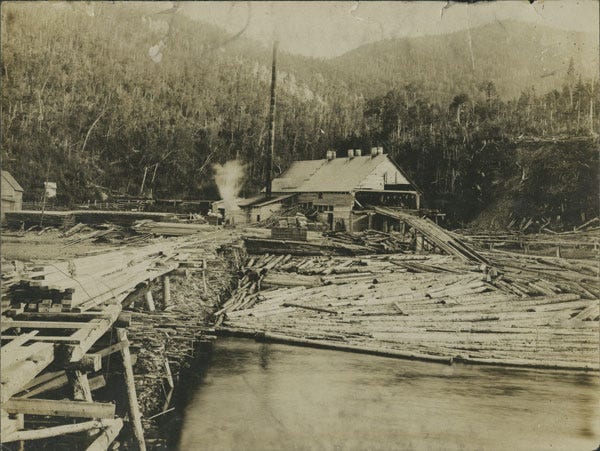 Fig. 24. Unknown. “Sawmill, Bonne Bay.” The Rooms Archive, A 7–22, Holloway Studio Collection, before 1946.