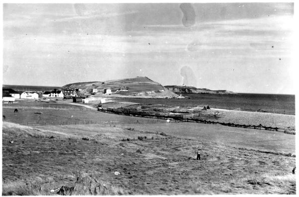 Fig. 26. Lee, Wulff. “Farm Land at Ferryland.” The Rooms Archive, VA 15b-12.7, Newfoundland Tourist Development Board Photograph Collection, 1945.