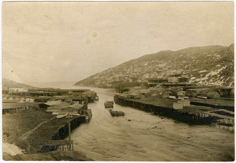 Fig. 43. Unknown. “Petty Harbour” The Rooms Archive, A 7–62, Holloway Studio Collection, before 1946.
