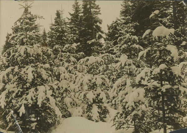 Fig. 8. Unknown. “Snow scene.” The Rooms Archive, A 11–82, Holloway Family Collection, before 1946.