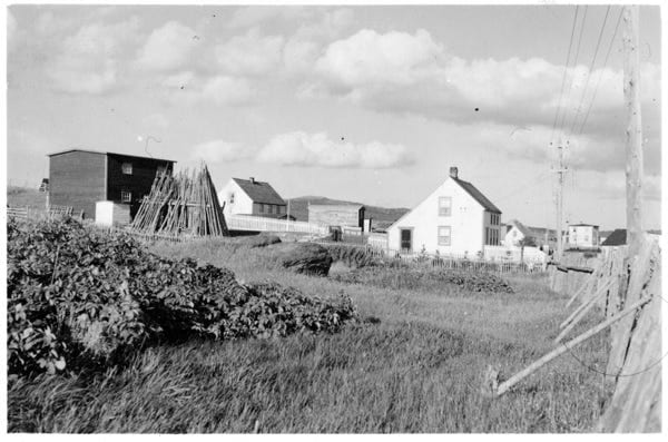 Fig. 81. Wulff, Lee. “Property and Garden, Witless Bay.” The Rooms Archive, VA 15b-29.1, Newfoundland Tourist Development Board Photograph Collection, ca. 1940.